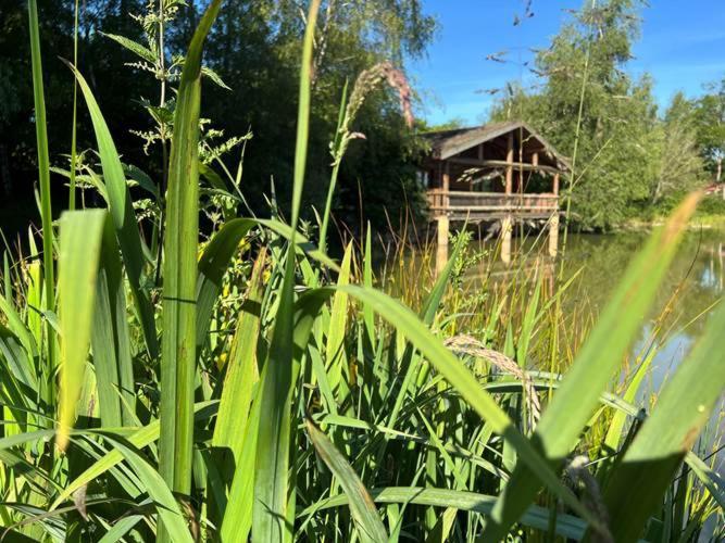 Le Domaine De La Vergnolle Roches  Habitación foto